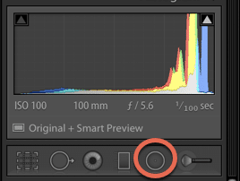 Radial Filter LR