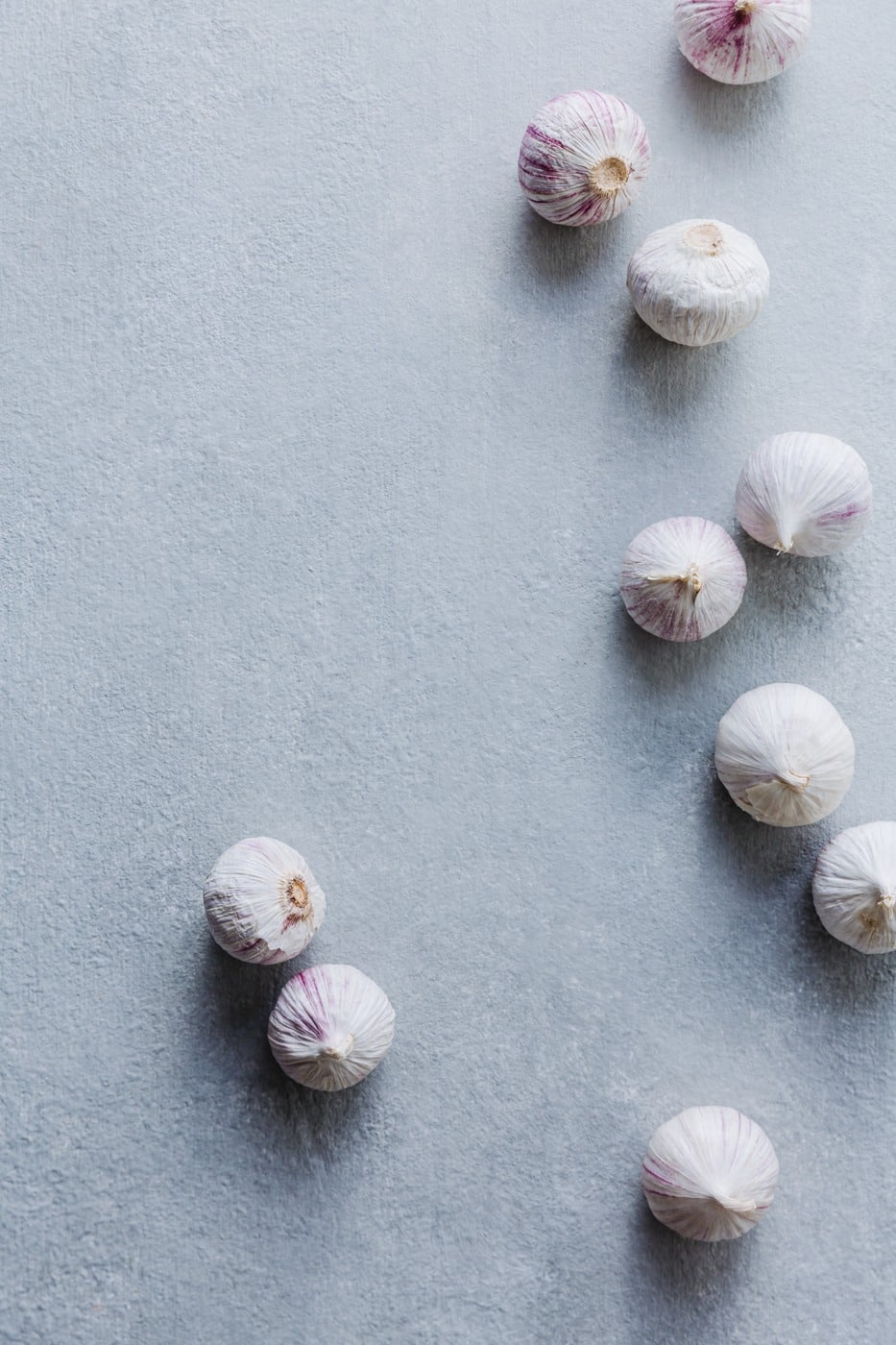 garlic-still life-gastrostoria