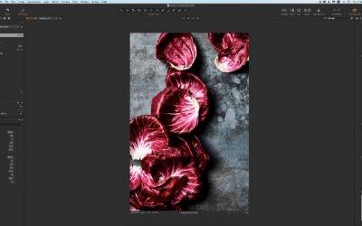 What’s New with Capture One 22