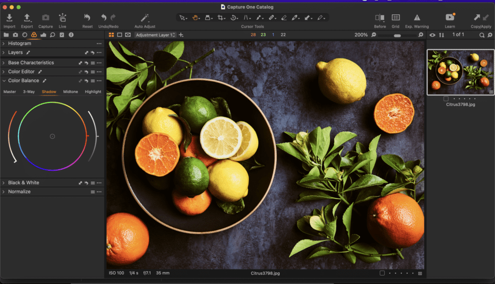 Capture One Interface e1646540180699